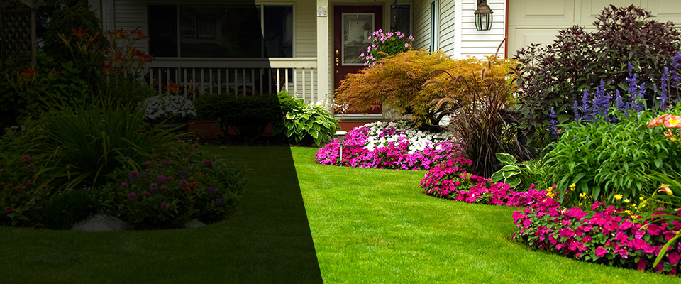 Dupo Landscapers