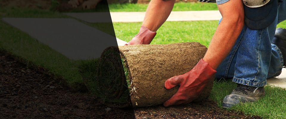 Dupo Landscapers